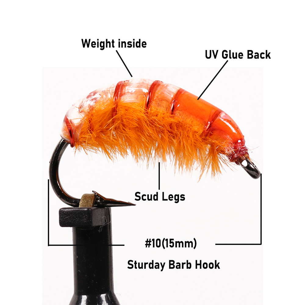 6개/8개 # 10개의 빠르게 침몰하는 체코 님프 스커 - Fishing Hook Size 리뷰 및 가격