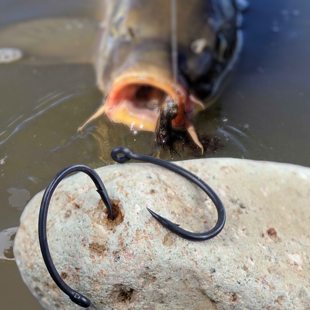 Hirisi 잉어 낚시 후크, PTFE 코팅, 고탄소강 - Fishing Hook Circle 리뷰 및 가격